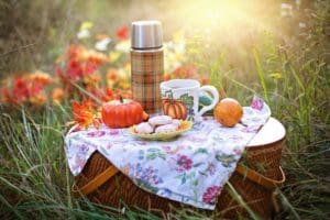 food on the picnic basket in the nature