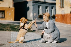dog playing with the girl in the street