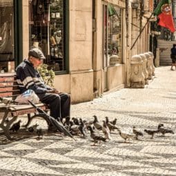 Senior surrounded by pigeons