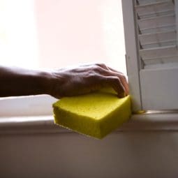 cleaning window with yellow sponge