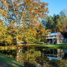 House in the forest with water pond