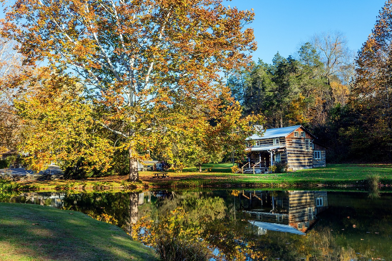 House in the forest with water pond