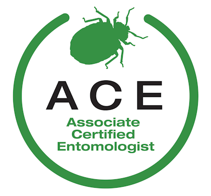 ace-structural-pest-control